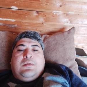 Мухаммад Алиев, 41 год, Ростов-на-Дону