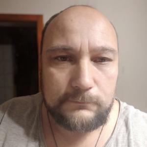 Анатолий, 48 лет, Ростов