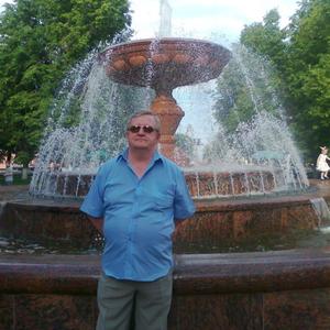 Александр Мас, 71 год, Киров