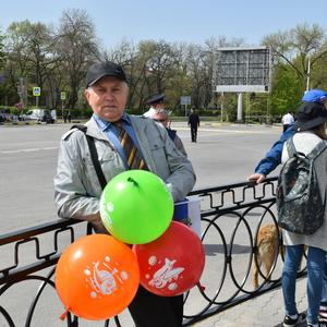 Владимир Иванов, 79 лет, Новочеркасск