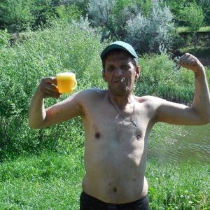 Олег Комнатный, 51 год, Саратов