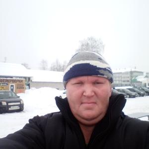 Сергей, 41 год, Вельск