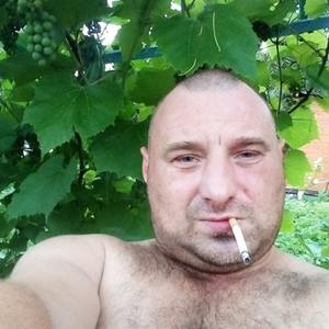 Андрей, 42 года, Владимир
