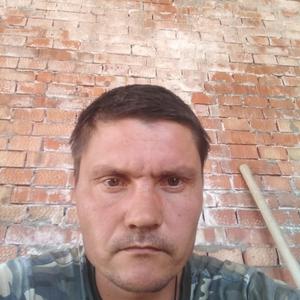 Станислав, 44 года, Ставрополь