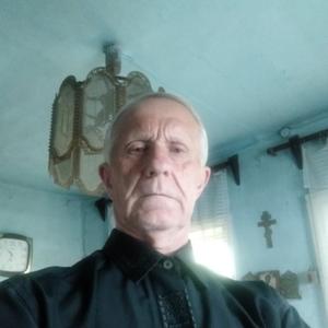 Парни в Новосибирске: Владимир, 68 - ищет девушку из Новосибирска