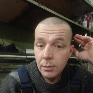 Дмитрий, 44 года, Коркино