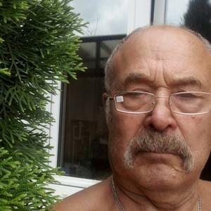Николай, 77 лет, Вятские Поляны