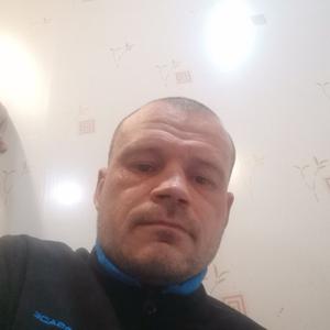 Сергей, 38 лет, Россошь