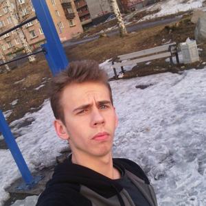 Коля Шушарин, 28 лет, Петрозаводск