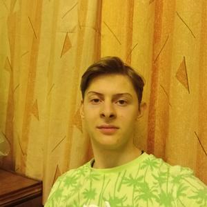 Danil, 19 лет, Петрозаводск