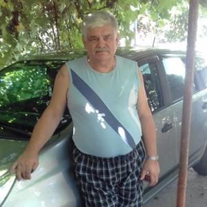 Владимир, 69 лет, Невинномысск