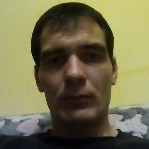 Artem Gayduk, 36 лет, Старый Оскол