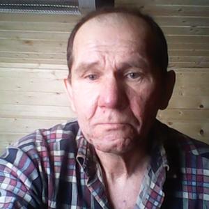 Алексей, 63 года, Тосно