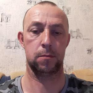 Вячеслав, 44 года, Череповец