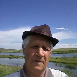 Владимир, 68 лет, Абакан