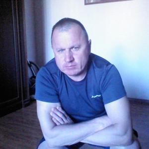 Андрей, 50 лет, Владимир
