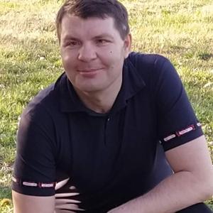 Станислав, 44 года, Краснодар
