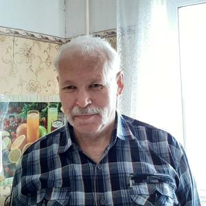 Владимир Ананьев, 71 год, Владимир