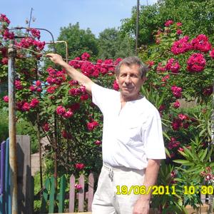 Владимир, 73 года, Донецк