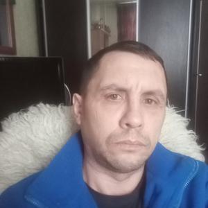 Святослав, 45 лет, Владимир