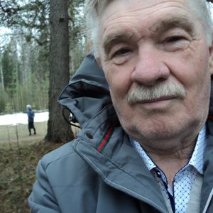 Александр Лотышев, 74 года, Нижний Новгород