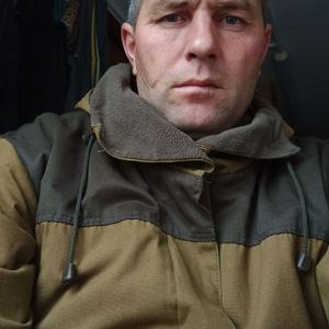 Владимир, 39 лет, Тула