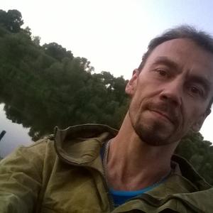 Сергей, 53 года, Кашира