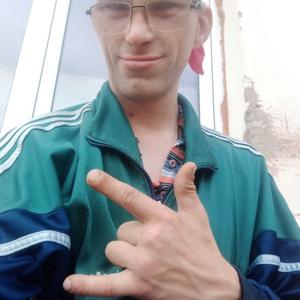 Андрей Алешин, 38 лет, Ермолино