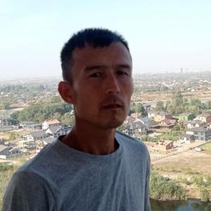 Боря, 36 лет, Краснодар