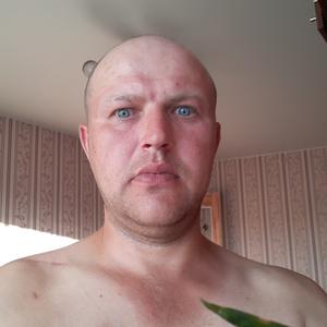Андрей, 41 год, Боровичи