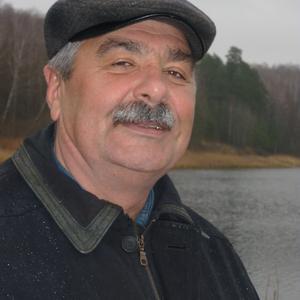 Евгений Рязанов, 66 лет, Казань