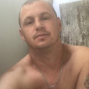 Толстых Александр Анатольевич, 41 год, Междуреченск