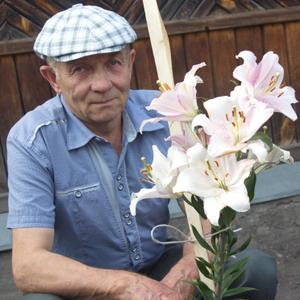 Парни в Шадринске: Николай, 69 - ищет девушку из Шадринска