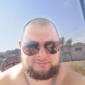 Андрей, 41 год, Ставропольский