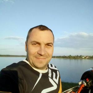 Дмитрий, 44 года, Торопец
