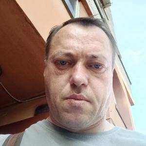 Андрей, 44 года, Москва