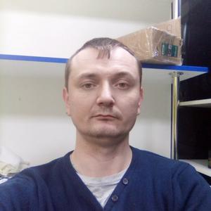 Владимир, 34 года, Кирс