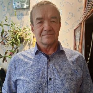Николай, 68 лет, Красноуфимск