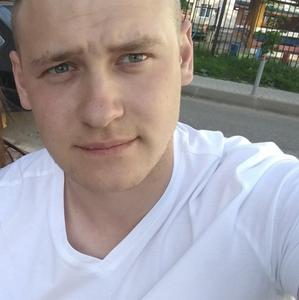 Андрей Фролов, 28 лет, Брянск