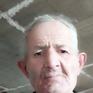Петр, 75 лет, Самара