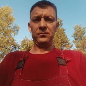 Виталик Артемьев, 41 год, Пермь