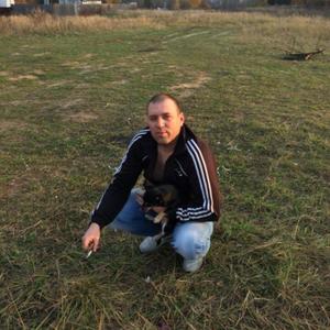 Денисов Андрей , 47 лет, Воскресенск