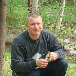 Тимофеев Андрей Николаевич, 46 лет, Пудож