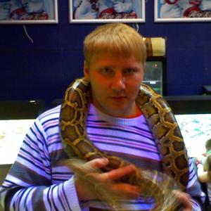Andrei, 42 года, Вологда