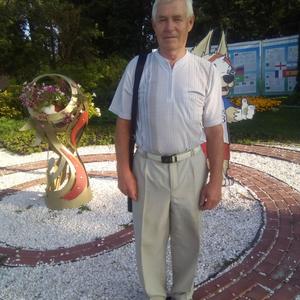 Николай, 72 года, Нижний Новгород