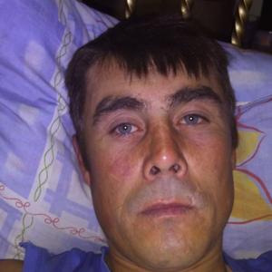Денис, 36 лет, Богородск