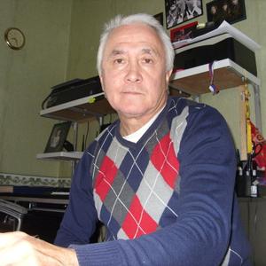 Александр Тен, 67 лет, Пятигорск