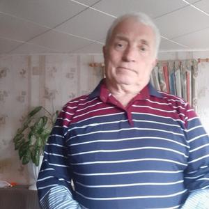 Александр Гришаев, 78 лет, Ленинский