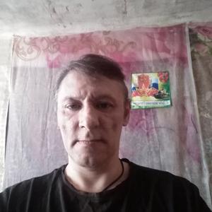 Алексей, 52 года, Лосино-Петровский