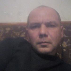 Михаил, 49 лет, Архангельск